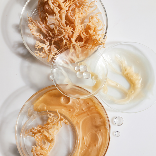 Sea Moss & Skincare Benefits